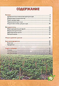 Перец. Богатый урожай без ошибок