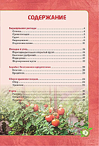 Помидоры. Богатый урожай без ошибок