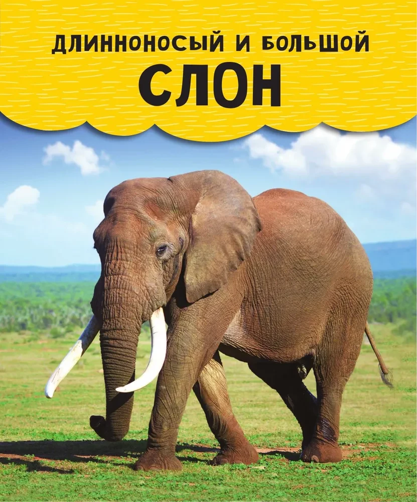 Животные