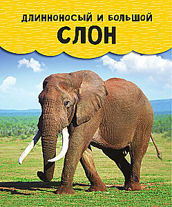 Животные