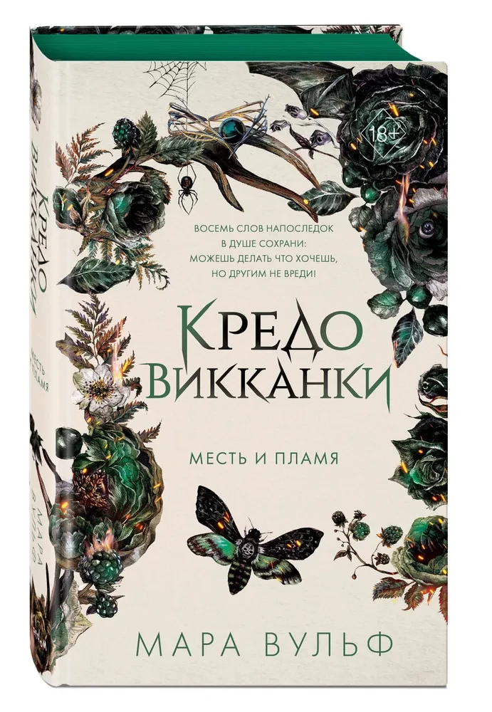 Кредо викканки. Месть и пламя