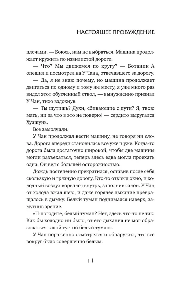 Настоящее пробуждение. Real Awakening. Книга 2