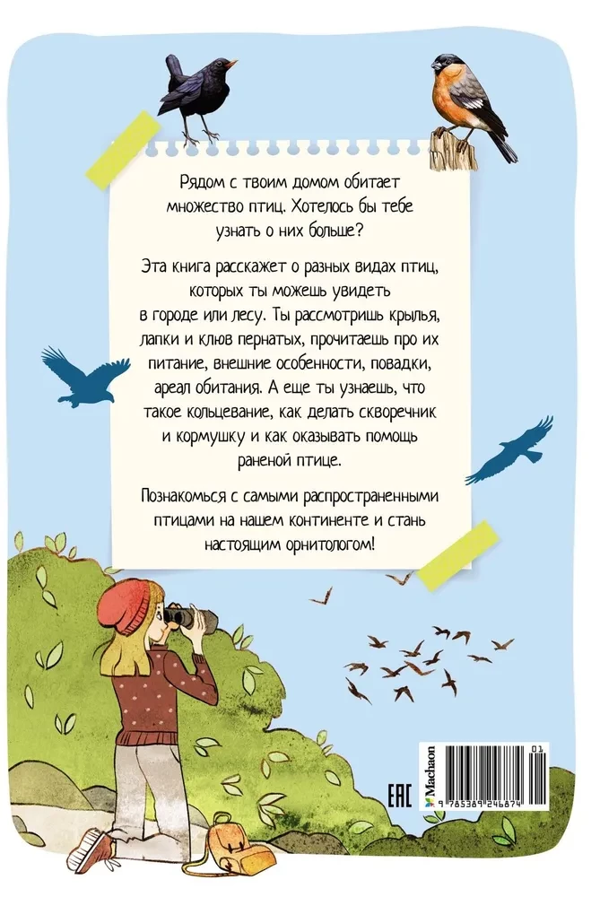 Птицы
