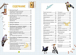 Птицы