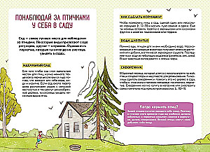 Птицы