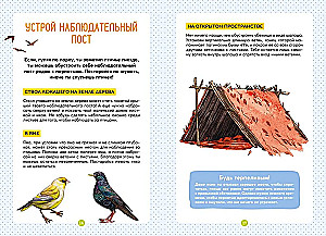 Птицы