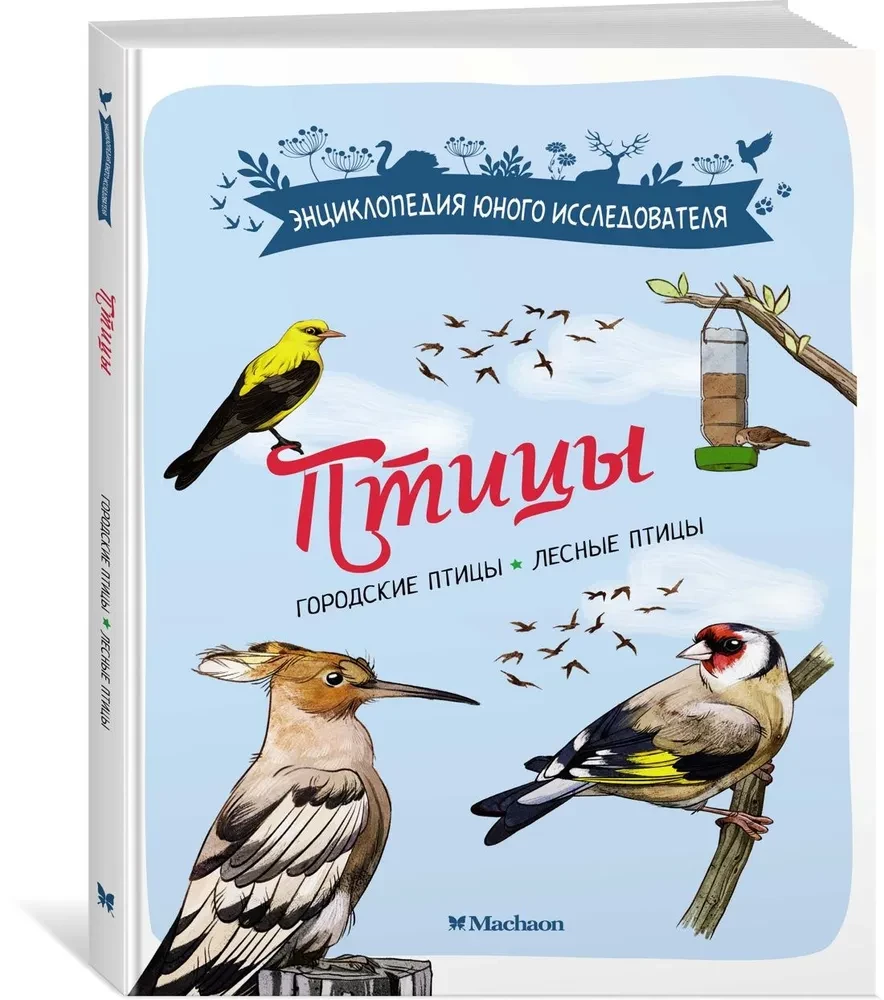 Птицы