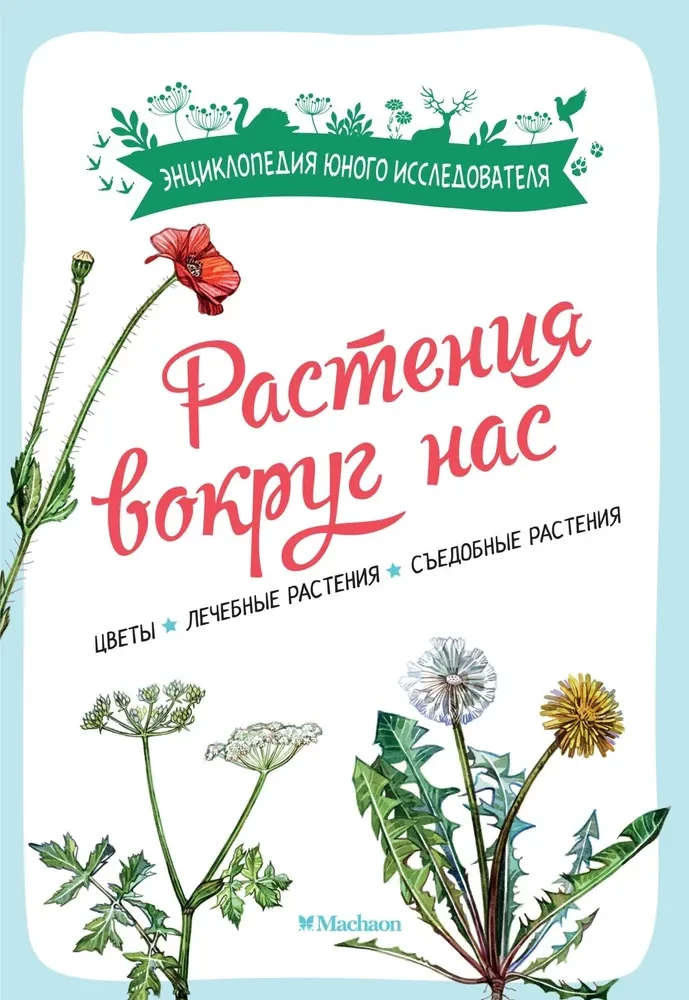 Растения вокруг нас