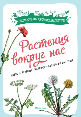 Растения вокруг нас