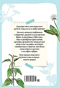Растения вокруг нас
