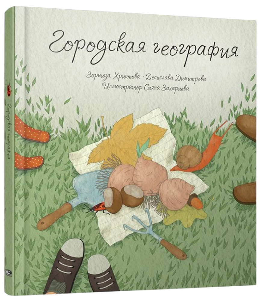 Городская география
