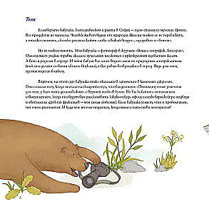 Городская география