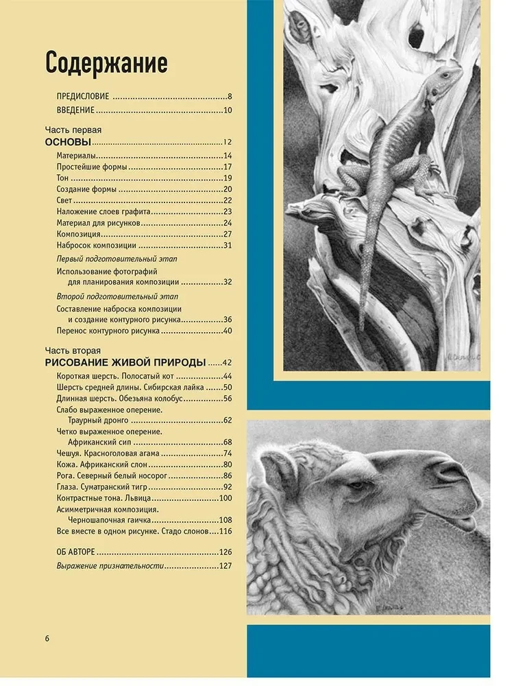 Реалистичные рисунки животных
