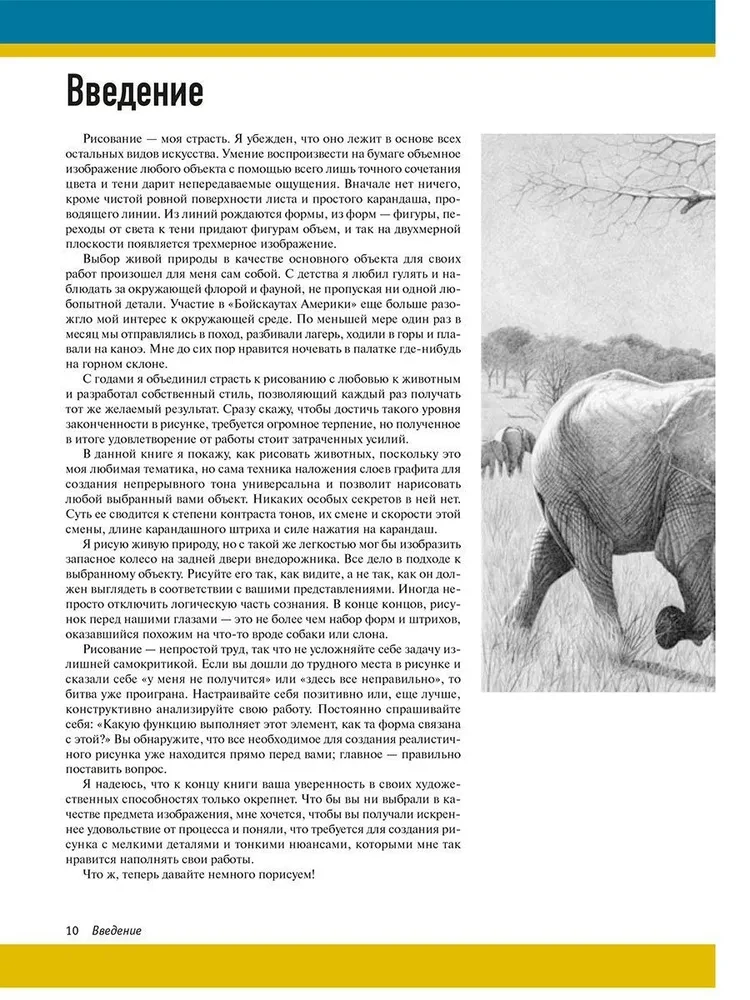 Реалистичные рисунки животных