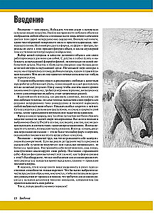 Реалистичные рисунки животных