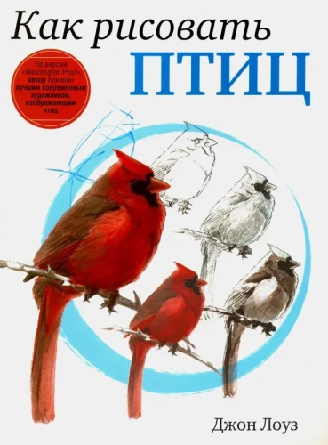 Kā zīmēt putnus