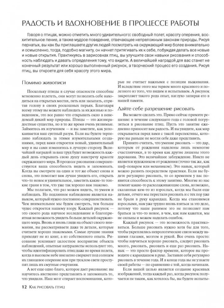 Как рисовать птиц