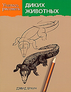 Учитесь рисовать диких животных