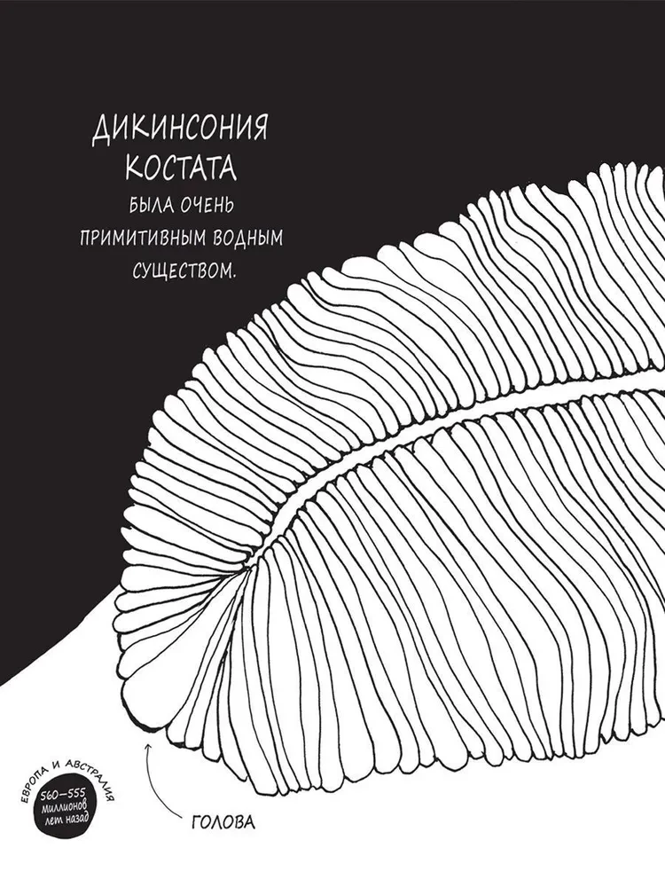 Истории о древних животных в картинках