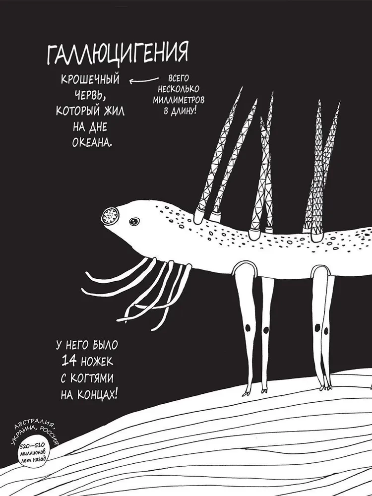 Истории о древних животных в картинках