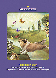 Таро животных (инструкция +78 карт)