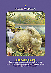 Таро животных (инструкция +78 карт)