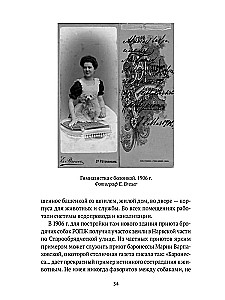 Suņi pilsētās