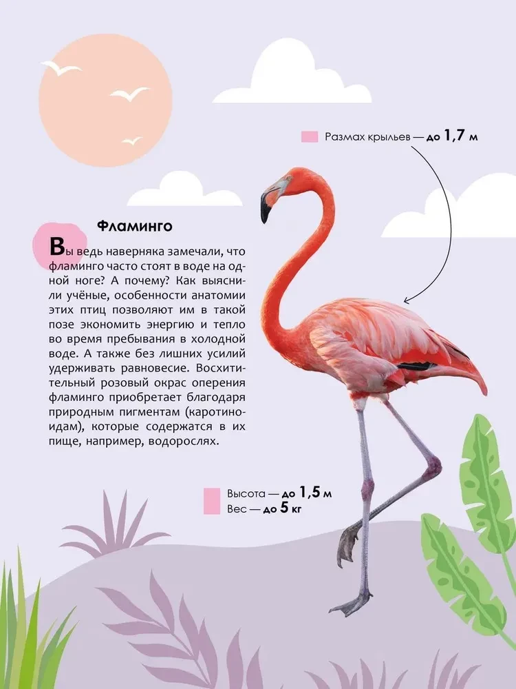 Детская энциклопедия. Животные