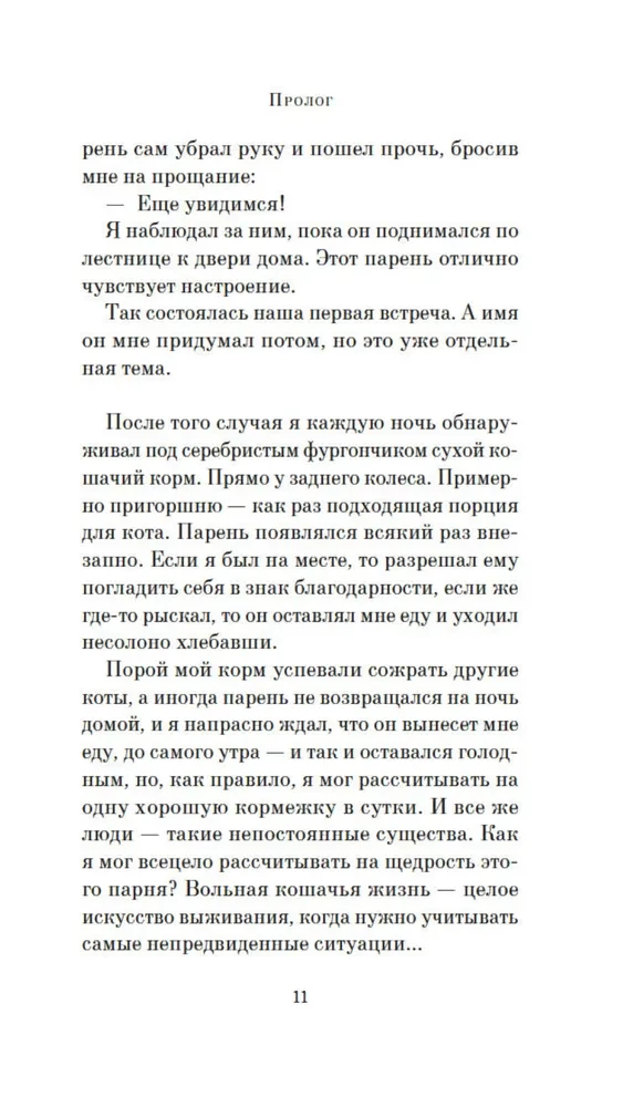 Хроники странствующего кота