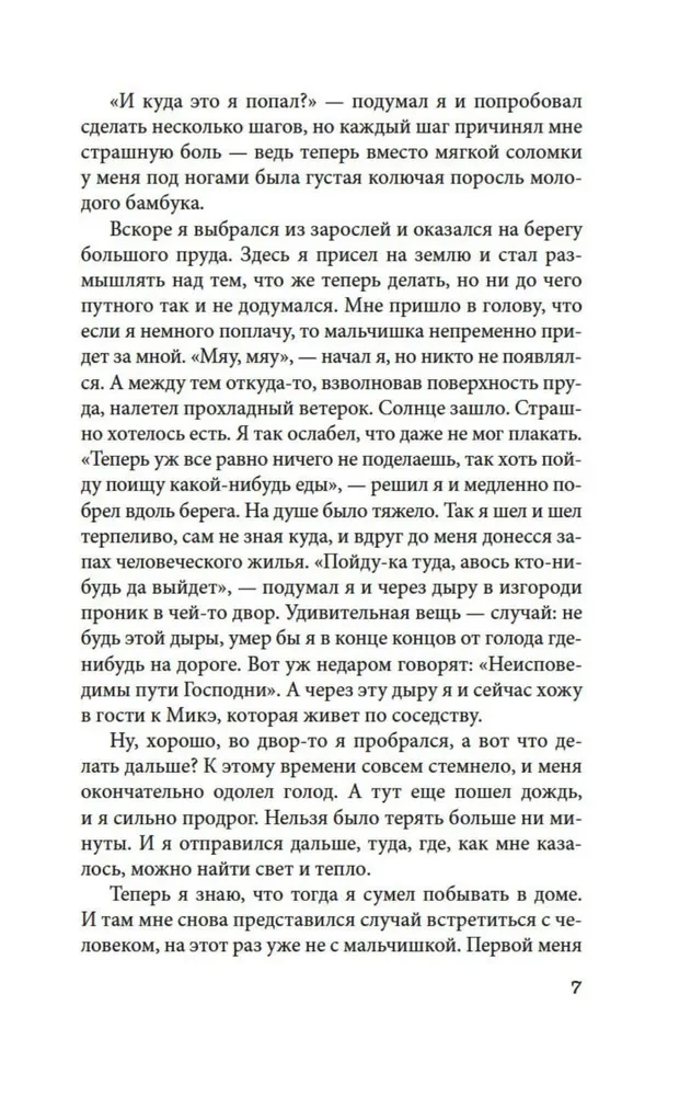 Ваш покорный слуга кот