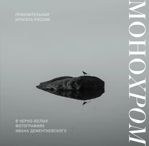 Monohroms. Caurspīdīga Krievijas skaistums melnbaltās fotogrāfijās, ko uzņēmis Ivans Dementijevskis