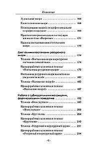 Trieciena tehnikas NLP. Teorija, prakse, rezultāts