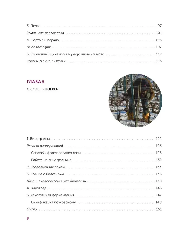 Vīns. Vēsture, šķirnes, ražošana, degustācija, tradīcijas