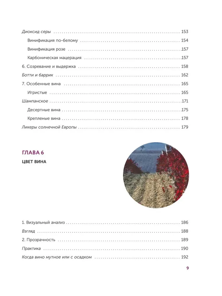 Vīns. Vēsture, šķirnes, ražošana, degustācija, tradīcijas