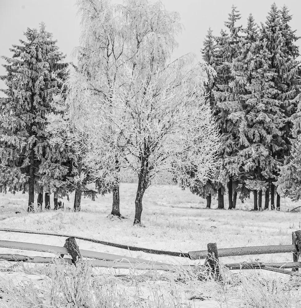 Monohroms. Caurspīdīga Krievijas skaistums melnbaltās fotogrāfijās, ko uzņēmis Ivans Dementijevskis