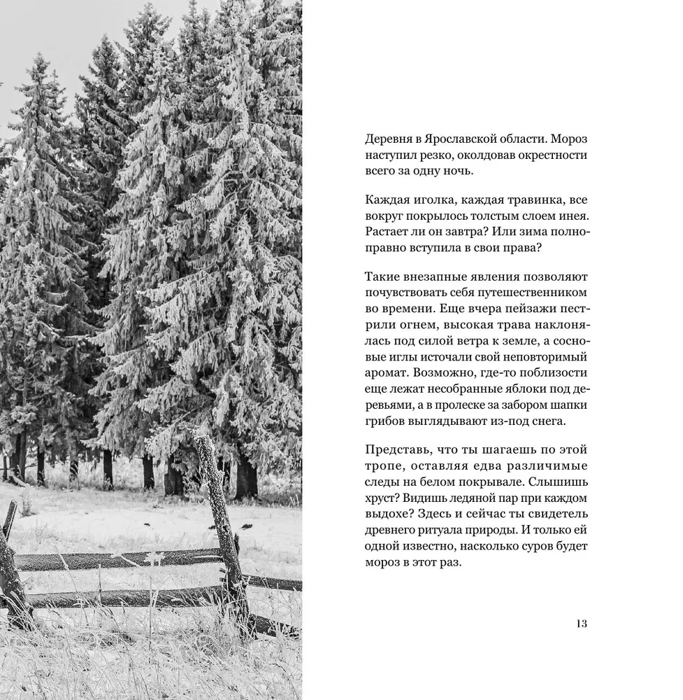 Monohroms. Caurspīdīga Krievijas skaistums melnbaltās fotogrāfijās, ko uzņēmis Ivans Dementijevskis