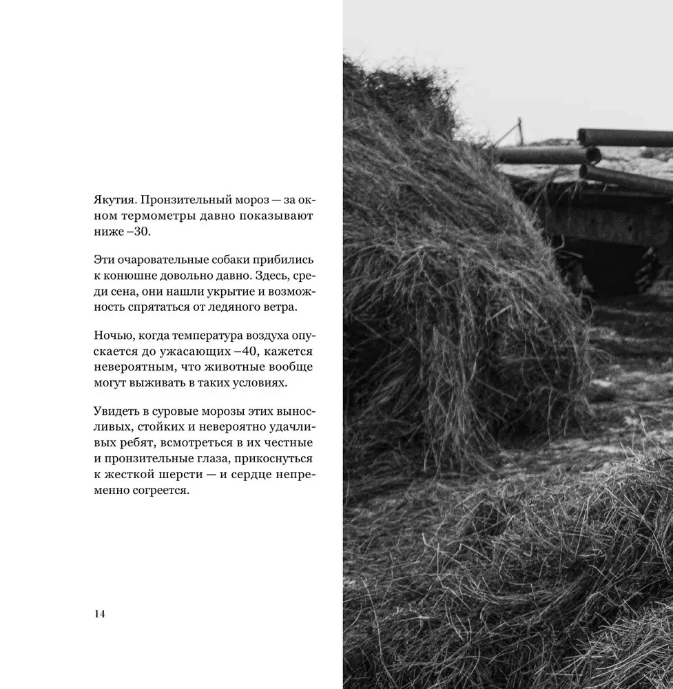 Monohroms. Caurspīdīga Krievijas skaistums melnbaltās fotogrāfijās, ko uzņēmis Ivans Dementijevskis