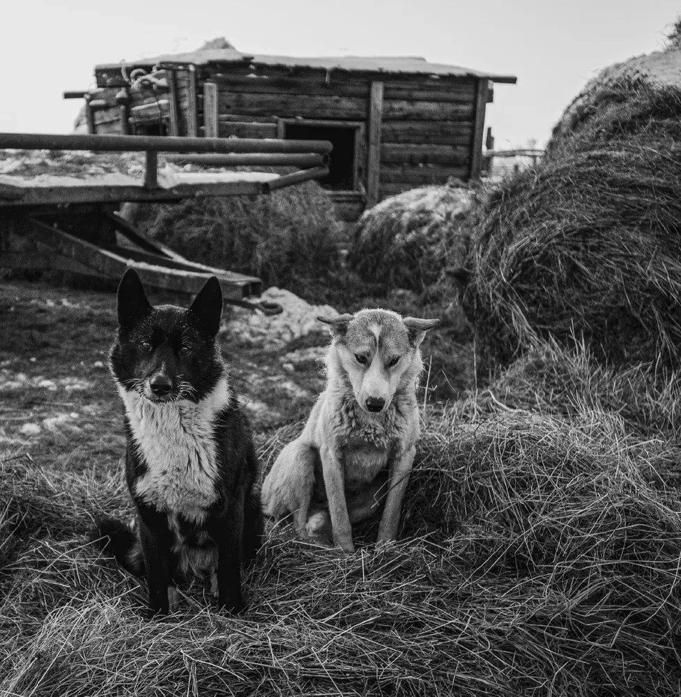 Monohroms. Caurspīdīga Krievijas skaistums melnbaltās fotogrāfijās, ko uzņēmis Ivans Dementijevskis