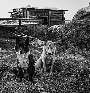 Monohroms. Caurspīdīga Krievijas skaistums melnbaltās fotogrāfijās, ko uzņēmis Ivans Dementijevskis