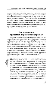 Искусство обрезки деревьев и кустарников для создания здорового и урожайного сада