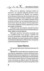 Искусство обрезки деревьев и кустарников для создания здорового и урожайного сада