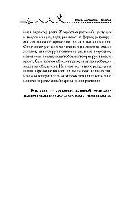 Искусство обрезки деревьев и кустарников для создания здорового и урожайного сада