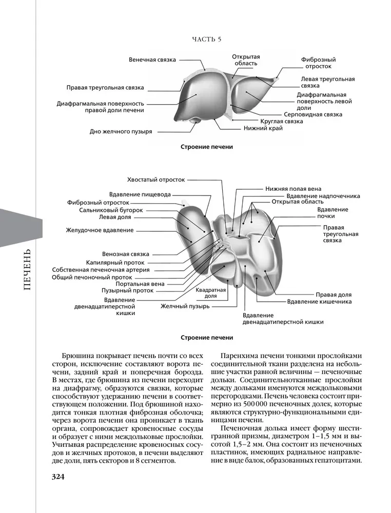 Pierādījumu gastroenteroloģija. Jauni virzieni, pārbaudes un protokoli
