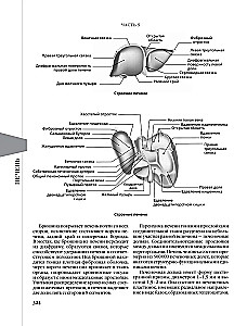 Pierādījumu gastroenteroloģija. Jauni virzieni, pārbaudes un protokoli