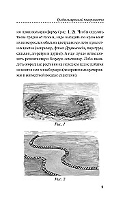 Gultas — tas ir vienkārši! Praktiska rokasgrāmata iesācējiem dārzniekiem