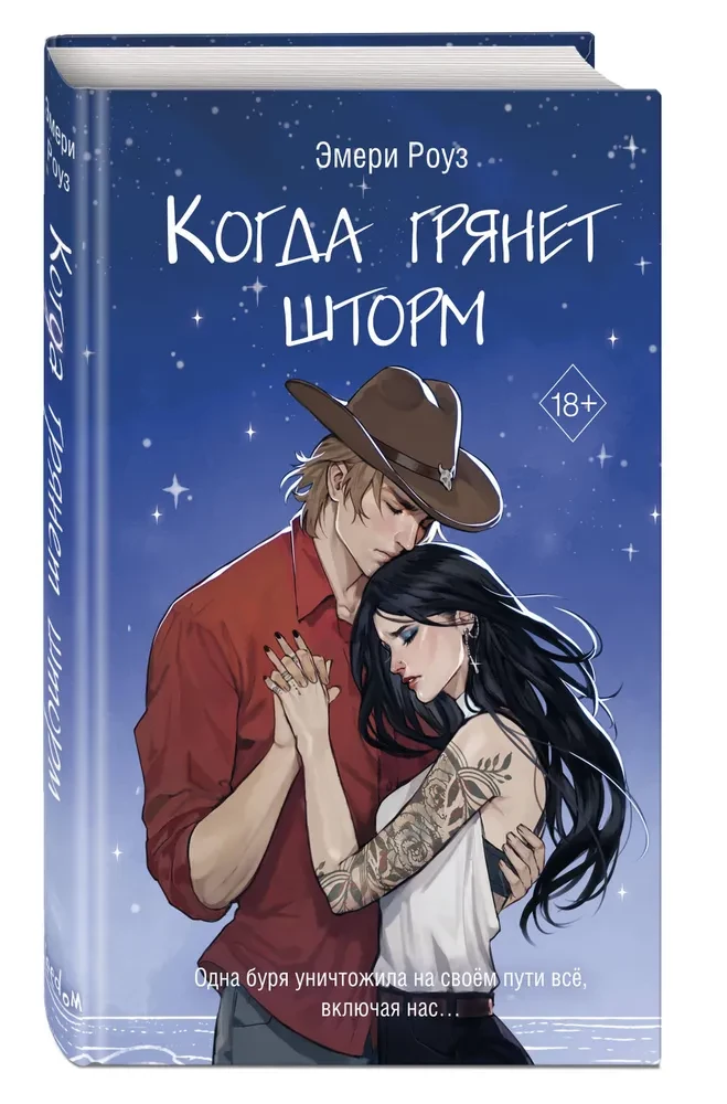 Когда грянет шторм