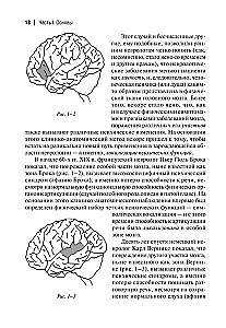 Klīniskie pētījumi neiropsihoanālizē