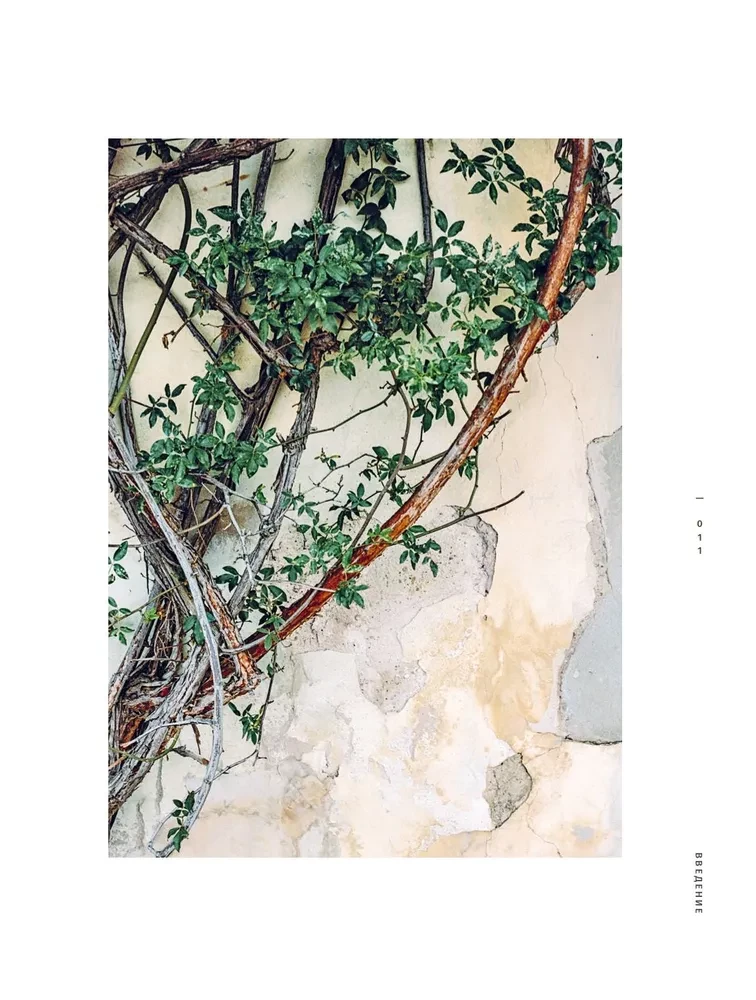Vabi-sabi. Viesmīlība japāņu gaumē