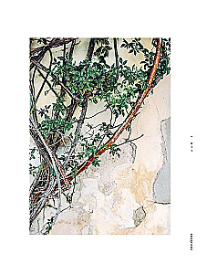 Vabi-sabi. Viesmīlība japāņu gaumē