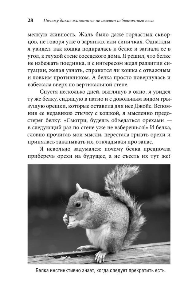Начни худеть сейчас